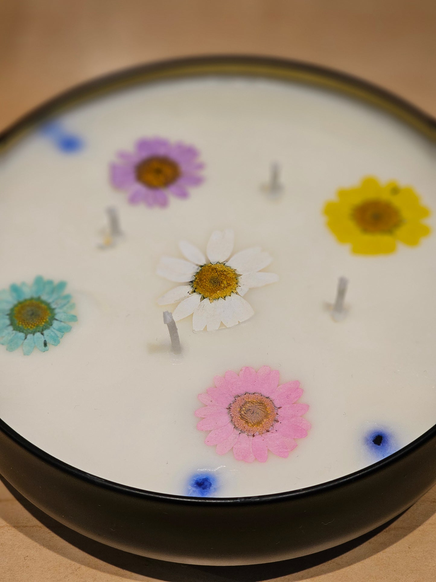 Daisy 4-wicks Organic candle
