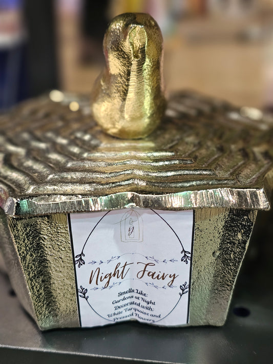 Night Fairy 4-wicks Limited Edition Candle in Bird jar